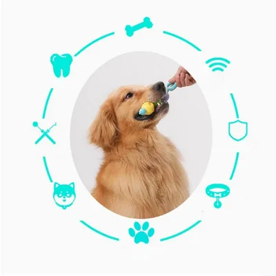 Petopia Jouet à mâcher pour chien