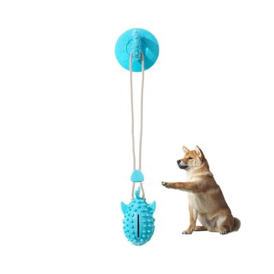 Petopia Jouet pour chien - ballon à friandises et sandale à ventouses
