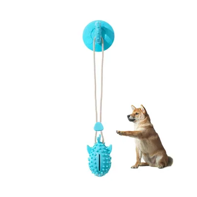 Petopia Jouet pour chien - ballon à friandises et sandale à ventouses