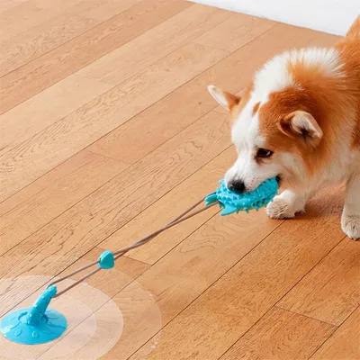Petopia Jouet pour chien - ballon à friandises et sandale à ventouses