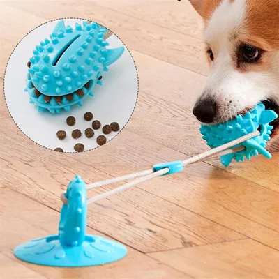 Petopia Jouet pour chien - ballon à friandises et sandale à ventouses