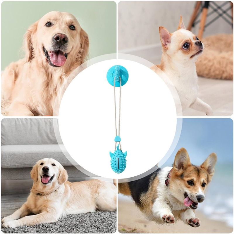 Petopia Jouet pour chien - ballon à friandises et sandale à ventouses