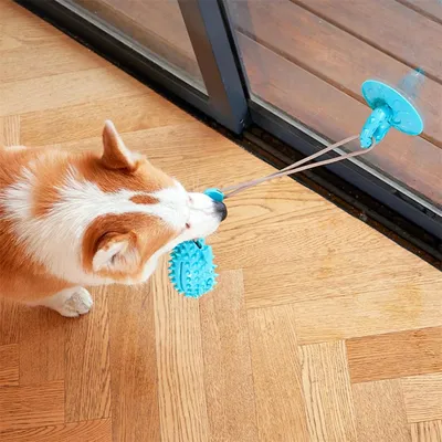 Petopia Jouet pour chien - ballon à friandises et sandale à ventouses