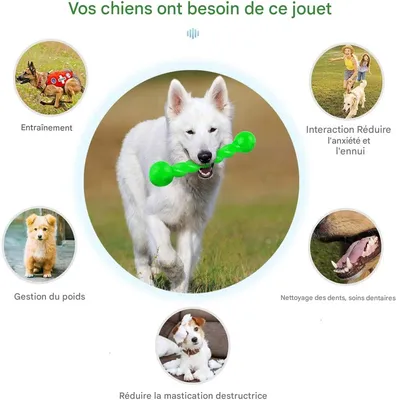 IntiMeg Jouet en caoutchouc spirale pour chien