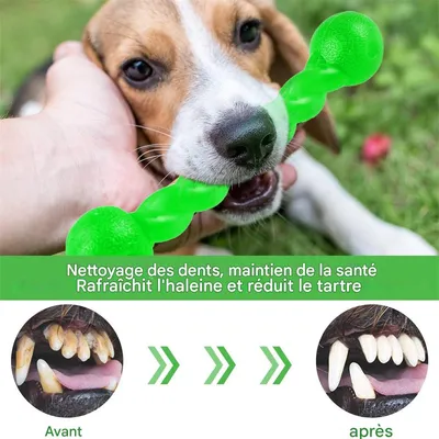 IntiMeg Jouet en caoutchouc spirale pour chien