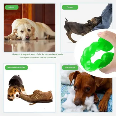 IntiMeg Jouet en caoutchouc spirale pour chien