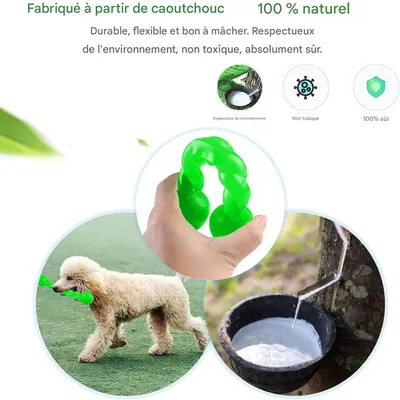 IntiMeg Jouet en caoutchouc spirale pour chien