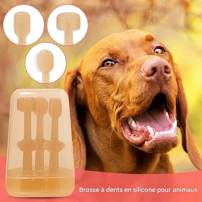 Pet Planet Kit de Brosse pour Animaux de Compagnie Dental Kit Pour Chien