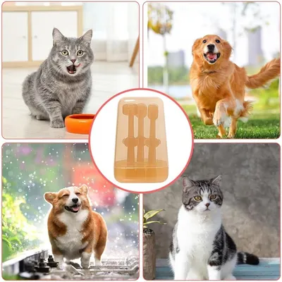 Pet Planet Kit de Brosse pour Animaux de Compagnie Dental Kit Pour Chien