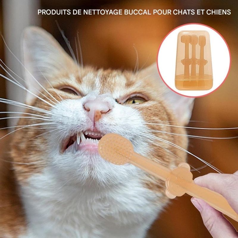 Pet Planet Kit de Brosse pour Animaux de Compagnie Dental Kit Pour Chien