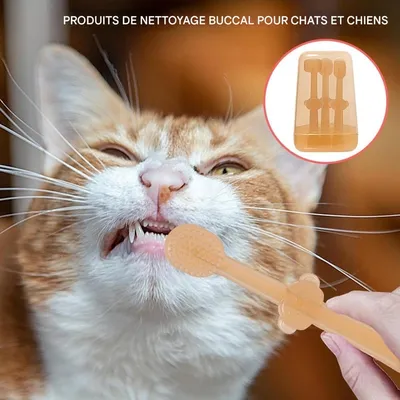 Pet Planet Kit de Brosse pour Animaux de Compagnie Dental Kit Pour Chien