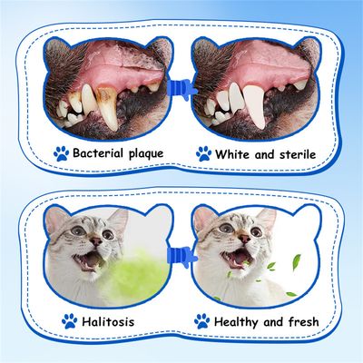 IntiMeg Spray nettoyant buccal pour chats et chiens