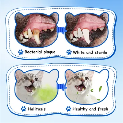 IntiMeg Spray de limpieza bucal para gatos y perros