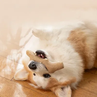 Petopia Os de mâchonner en forme de corne de cerf pour chien