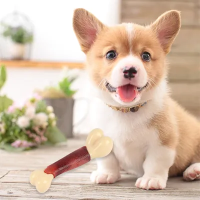 Pet Planet Os de mâchage simulé au goût de bœuf pour chiens