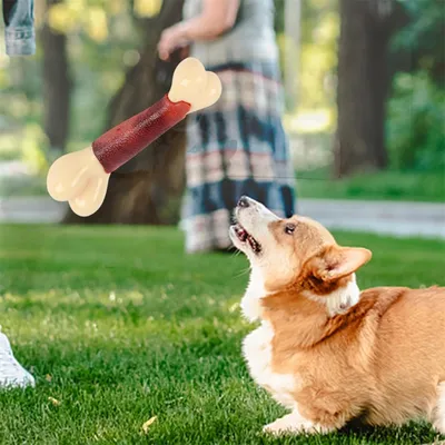 Pet Planet Os de mâchage simulé au goût de bœuf pour chiens