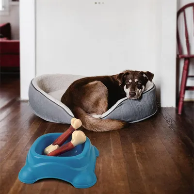 Pet Planet Os de mâchage simulé au goût de bœuf pour chiens