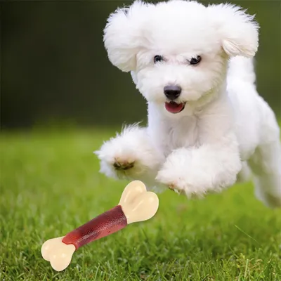 Pet Planet Os de mâchage simulé au goût de bœuf pour chiens