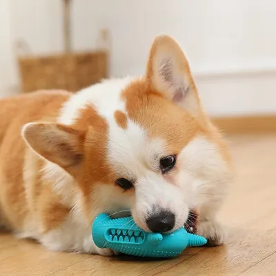 Petopia Jouet de grignotage pour chien