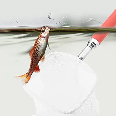 ZENITHMIND filet télescopique pour poissons d'aquarium