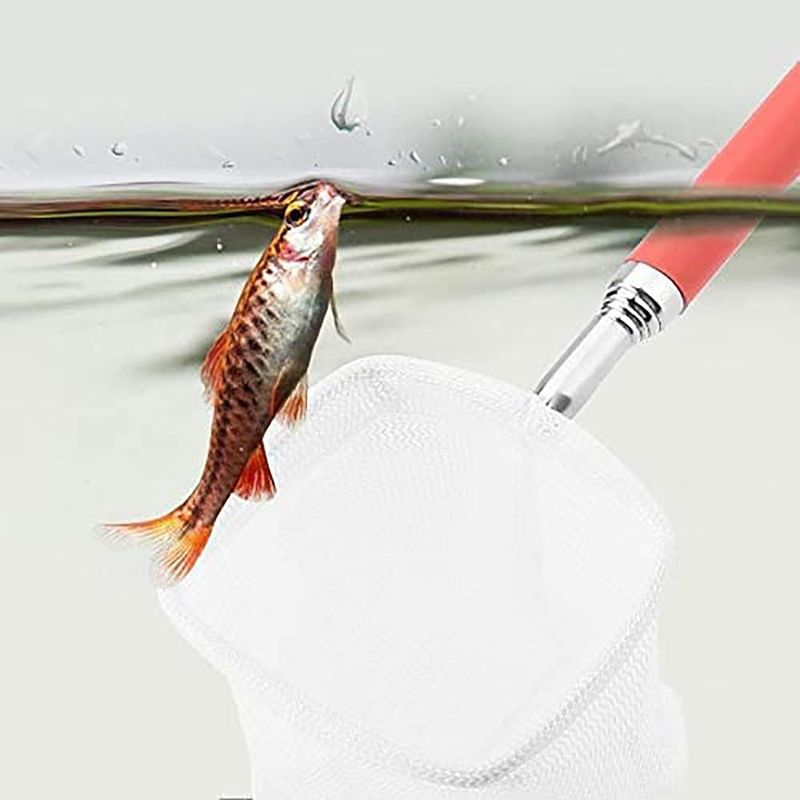 ZENITHMIND filet télescopique pour poissons d'aquarium