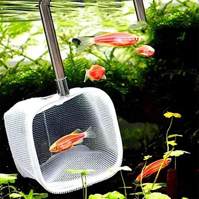 ZENITHMIND filet télescopique pour poissons d'aquarium