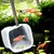 ZENITHMIND filet télescopique pour poissons d'aquarium
