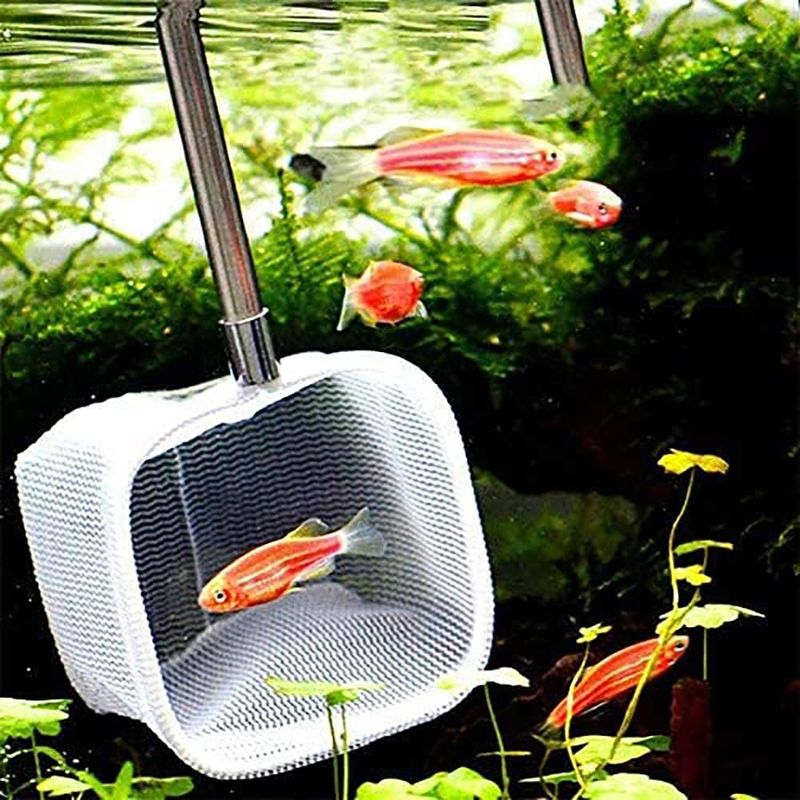 ZENITHMIND filet télescopique pour poissons d'aquarium