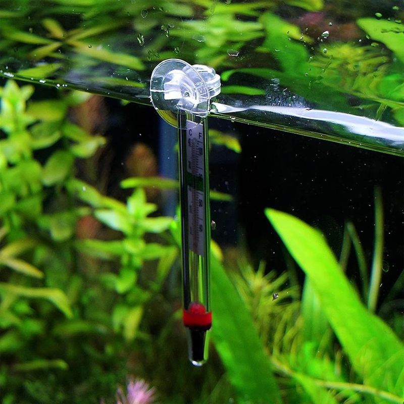 ZENITHMIND Thermomètres pour Aquarium - Thermomètres Numériques
