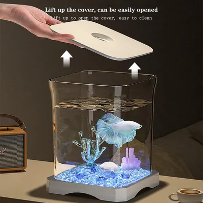 ZENITHMIND Aquarium avec lumière ambiante