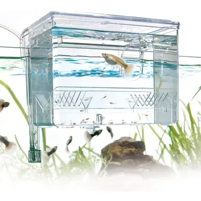 ZENITHMIND Salle d'Accouchement pour Aquariophilie,16x13x12cm