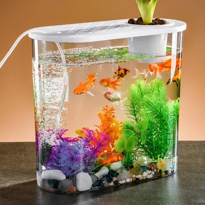 ZENITHMIND Aquarium en Plastique pour Bureau Petit Aquarium Portable