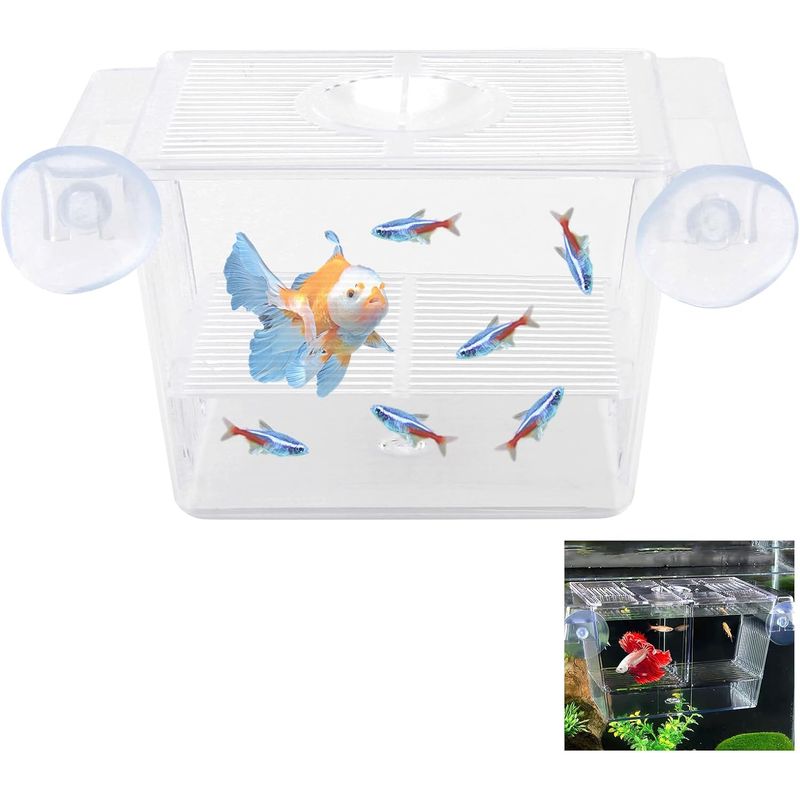 ZENITHMIND Aquarium Mini avec Ventouses