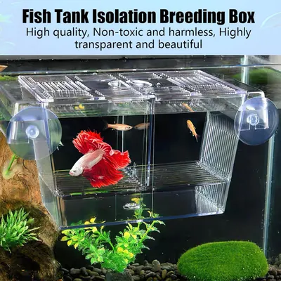 ZENITHMIND Aquarium Mini avec Ventouses