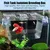 ZENITHMIND Aquarium Mini avec Ventouses