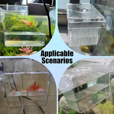 ZENITHMIND Aquarium Mini avec Ventouses