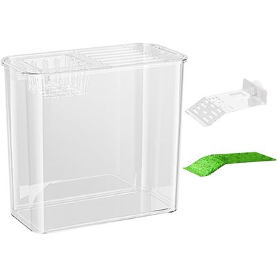 ZENITHMIND Habitat pour tortues, bol à poissons décoratif