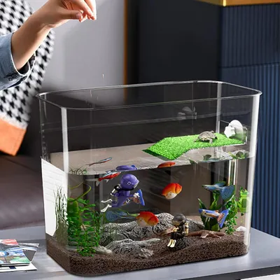 ZENITHMIND Habitat pour tortues, bol à poissons décoratif