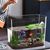 ZENITHMIND Habitat pour tortues, bol à poissons décoratif