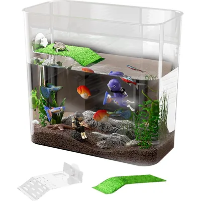 ZENITHMIND Habitat pour tortues, bol à poissons décoratif