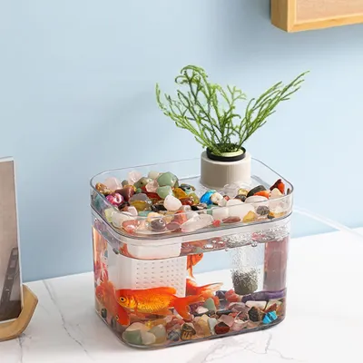 ZENITHMIND Aquarium Transparent avec Couvercle,Pompe à air USB