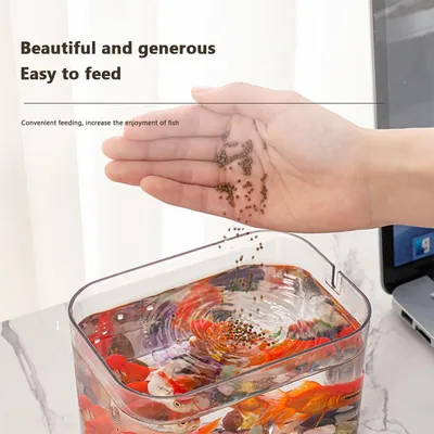ZENITHMIND Aquarium Transparent avec Couvercle,Pompe à air USB