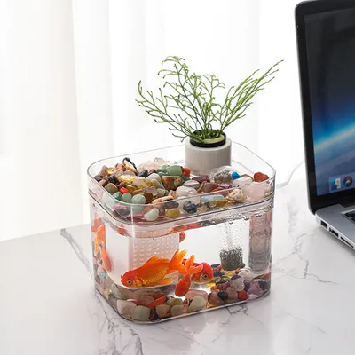 ZENITHMIND Aquarium Transparent avec Couvercle,Pompe à air USB