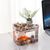 ZENITHMIND Aquarium Transparent avec Couvercle,Pompe à air USB