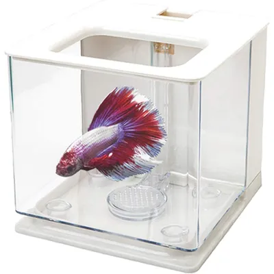 ZENITHMIND Aquarium Facile à Changer en Acrylique (Blanc)