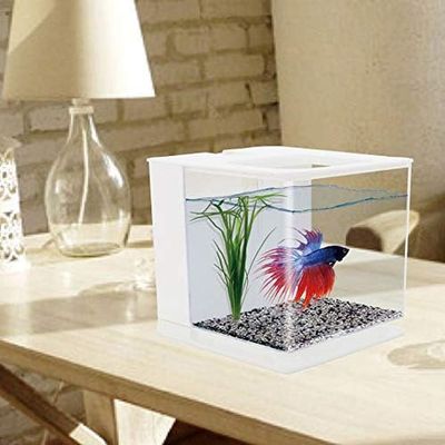 ZENITHMIND Aquarium Facile à Changer en Acrylique (Blanc)