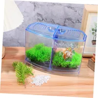 ZENITHMIND Petit Aquarium pour Enfants Bol De Décoration Verte