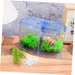 ZENITHMIND Petit Aquarium pour Enfants Bol De Décoration Verte