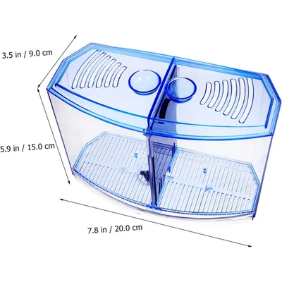 ZENITHMIND Petit Aquarium pour Enfants Bol De Décoration Verte