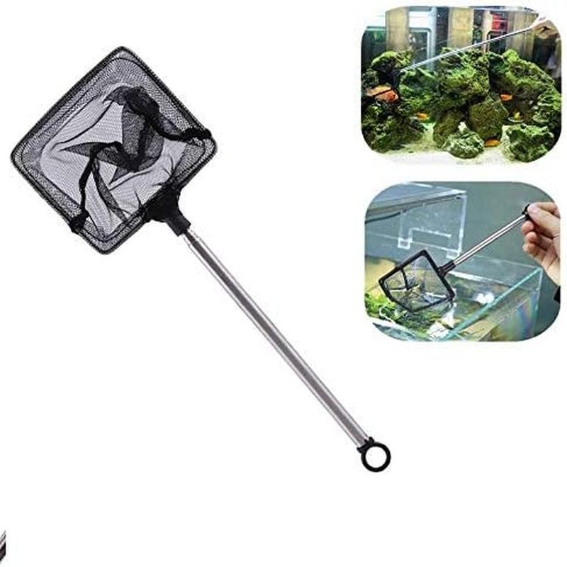 ZENITHMIND Filet de pêche Réservoir de Poissons Accessoires